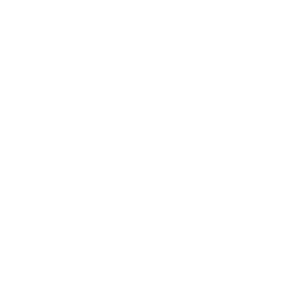 Fiserv_300x300